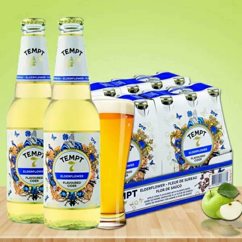 Danmark TEMPT Recyclable Transparent Glass Drinking Bottle 330ml